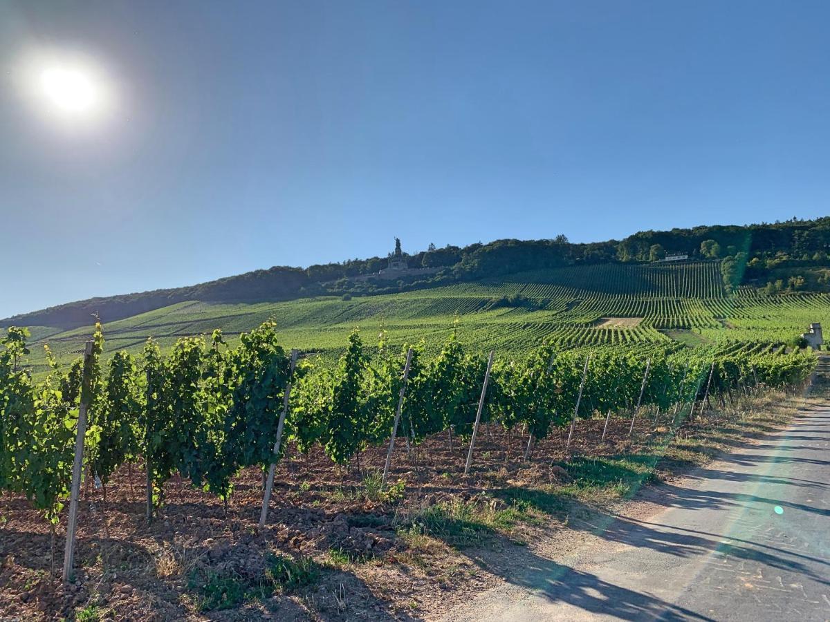 Fewo Zum Malerwinkel - Ruedesheim Рюдесгайм-ам-Райн Екстер'єр фото